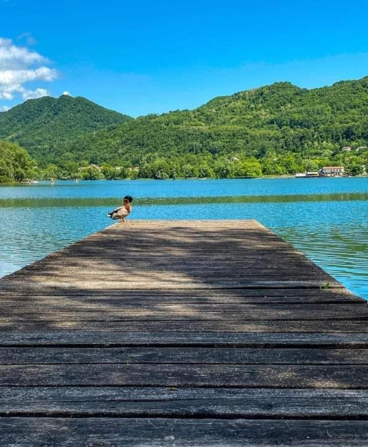 Millefiori Suite&Room Lago (Veneto) Exterior foto